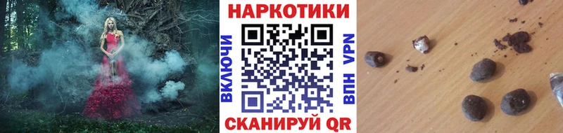 Виды наркотиков купить Нижнеудинск ГАШИШ Кокаин МЕФ Марихуана