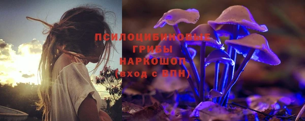 гашик Россошь