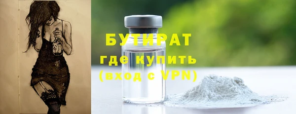 прущие грибы Рославль