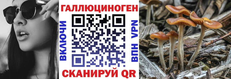 цены наркотик Нижнеудинск МЕГА ССЫЛКА Галлюциногенные грибы мухоморы